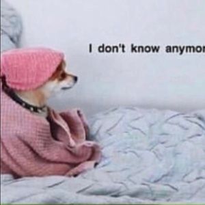 Meet your Posher, Carma